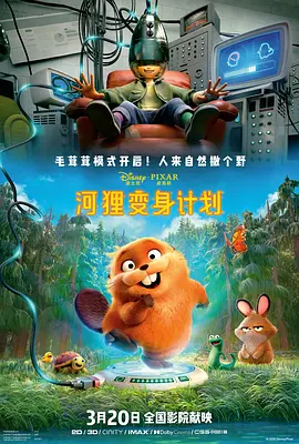 吊网