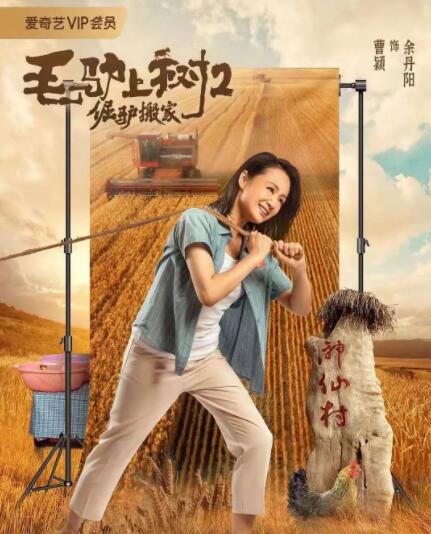91精品欧美一区二区综合在线