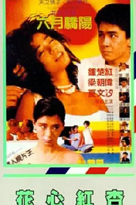 91九色蝌蚪视频