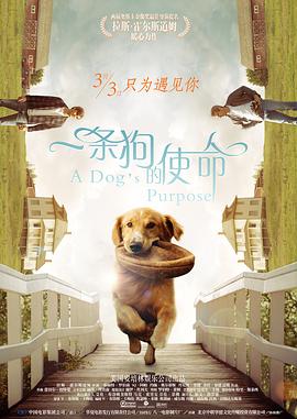 岁月鎏金