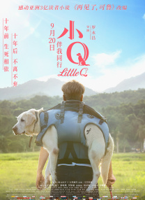 久久香蕉视
